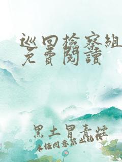 巡回检察组小说免费阅读