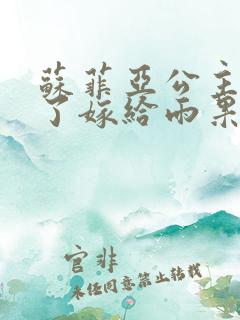 苏菲亚公主长大了嫁给雨果王子
