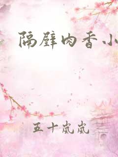 隔壁肉香小说