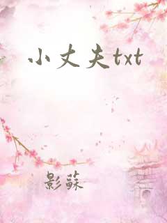 小丈夫txt