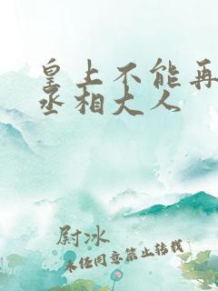 皇上不能再进了丞相大人