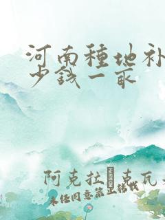 河南种地补贴多少钱一亩