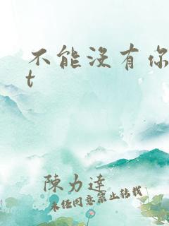 不能没有你txt
