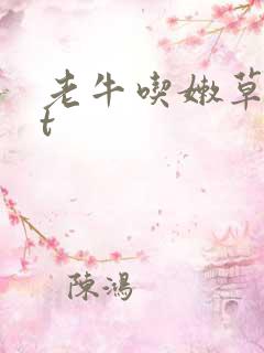 老牛吃嫩草txt