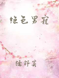 绝色男宠