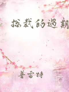 总裁的过期情人