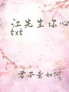 江先生你心动了txt