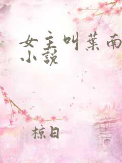 女主叫叶南初的小说