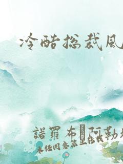冷酷总裁风流妻