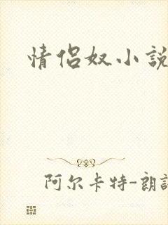 情侣奴小说