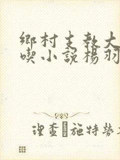 乡村支教大小通吃小说杨羽