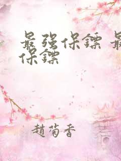 最强保镖 最强保镖