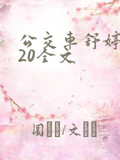 公交车舒婷1一20全文