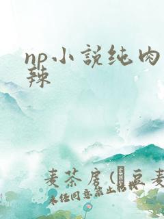 np小说纯肉高辣