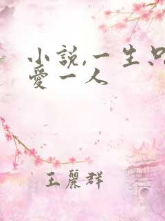 小说,一生只够爱一人