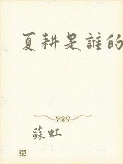 夏耕是谁的女婿