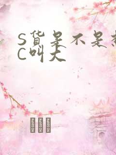 S货是不是想挨C叫大