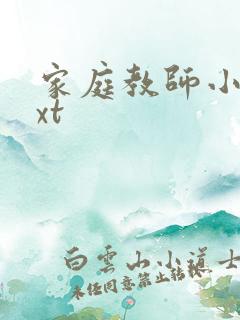家庭教师小说txt