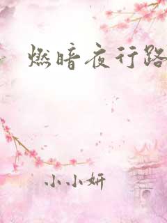 燃暗夜行路