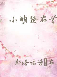 小明发布首页