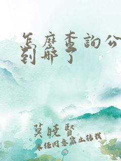 怎么查询公交车到哪了