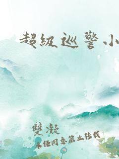 超级巡警小说