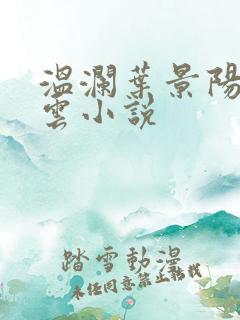 温澜叶景阳温云云小说