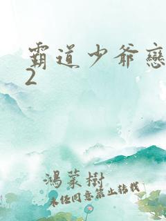 霸道少爷恋上我2
