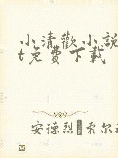 小清欢小说txt免费下载