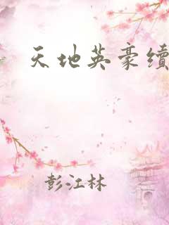 天地英豪续集