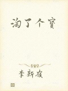 淘了个宝