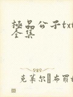 极品公子txt全集