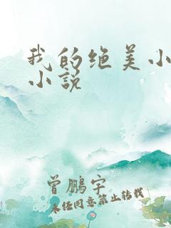 我的绝美小姨 小说