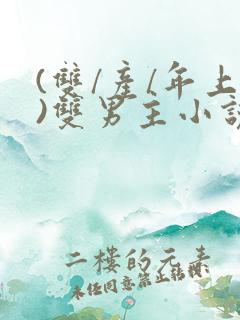 (双/产/年上)双男主小说