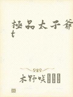 极品太子爷txt