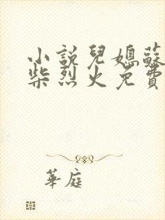 小说儿媳苏玥干柴烈火免费阅读