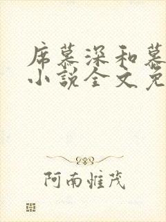 席慕深和慕清泠小说全文免费阅读
