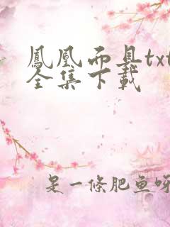 凤凰面具txt全集下载