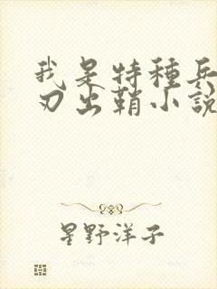 我是特种兵之利刃出鞘小说