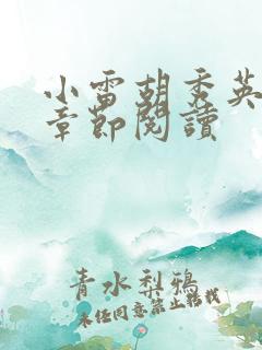 小雷胡秀英全部章节阅读