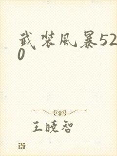 武装风暴5200
