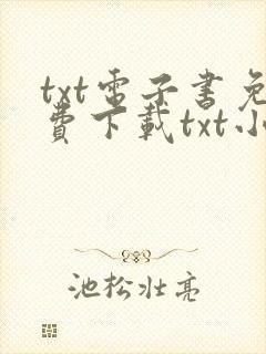 txt电子书免费下载txt小说下载