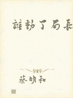 谁动了局长夫人