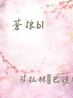 苍狼bl