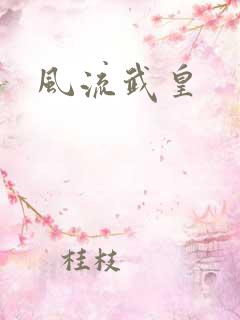 风流武皇