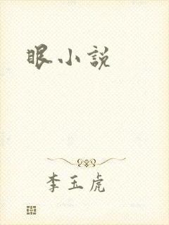 眼小说