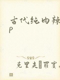 古代纯肉辣文np