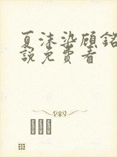 夏沫染顾铭修小说免费看