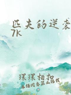 匹夫的逆袭 17k