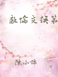 敌伦交换第二次